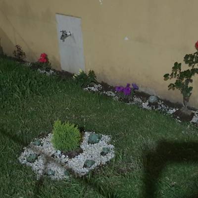 25f6d6b7-b49e-4b2d-a330-004666880109