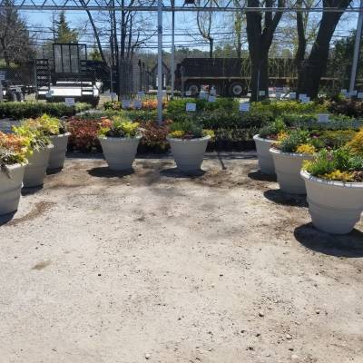 d105ac2c-a281-4d2c-a051-62a77eeeb3e1